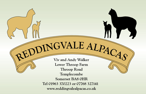 Reddingvale Alpacas